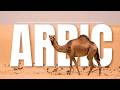 Arabic Relaxing Music for Deep Sleep | موسيقى عربية هادئة للاسترخاء والنوم العميق