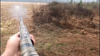 SC Deer Dog Drives 12/5/25: Big Billy rolls up a doe!