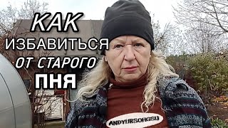 видео: Как же мне надоело это соседство. Хочу уничтожить его!  картинка: Как же мне надоело это соседство. Хочу уничтожить его!
