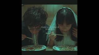 Chinese American Bear - Forever Lover (永远的爱人)