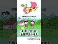 急性膵炎の絶食？？身を削って学ぼう！＃看護師アニメ