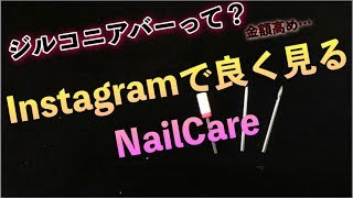 【海外で人気⁉︎】新入りさんが増えました。