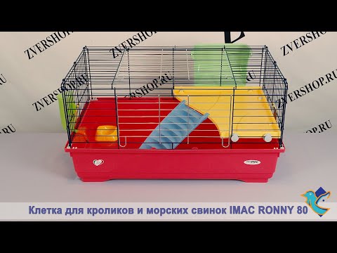 Клетка для кроликов и морских свинок IMAC Ronny 80