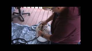 How To Deep Fry Fish Outdoors Frying Fish In Canola Oil