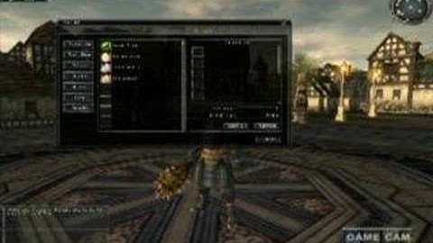 Last Chaos: How to Use the Item Mall