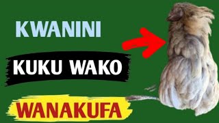 KUKU WANGU WANAKUFA GHAFLA, #chicken #ufugaji
