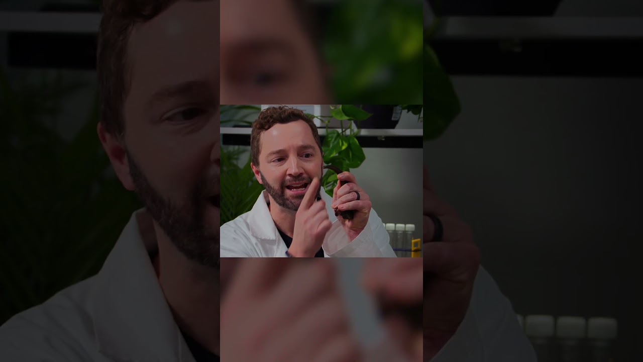 Jurassic World Rebirth: Colossal Clash | Mutadons vs. Carnotaurus | Ad