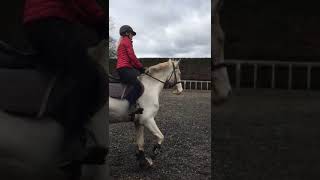Ad ref 249198 Video 2