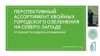 «Перспективный ассортимент хвойных для городского озеленения на северо-западе», Лесопарк Стеклянный