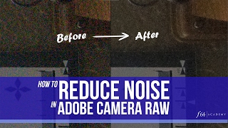 Noise Reduction in Adobe Camera Raw screenshot 4
