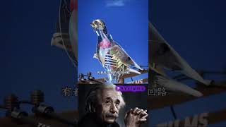 Sigma Physics Teacher