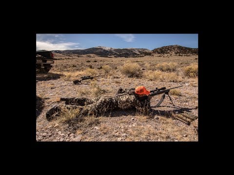 Tradition Episode 23: DEER, DEER, and MORE DEER!