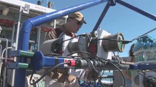 Celebrity Ocean Robots Profile