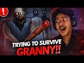 PLAY WITH GRANNY