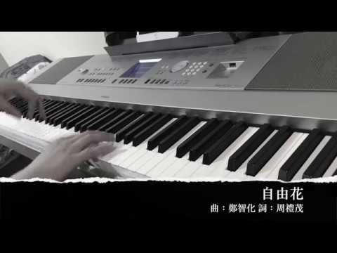 毋忘六四 自由花鋼琴版 Youtube