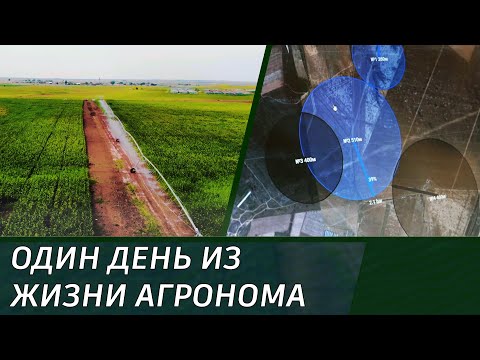 Один день из жизни агронома Владимира Гуренко, СП Орошаемое