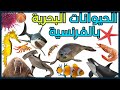 أسماء الحيوانات البحرية باللغة الفرنسية     