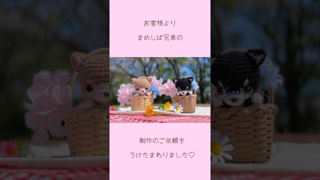 豆柴兄弟のあみぐるみ完成＊*°】 #あみぐるみ #あみぐるみ作家