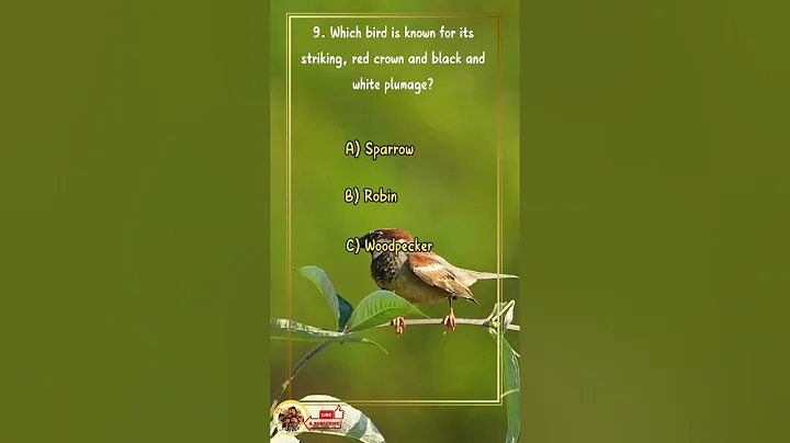 9 --🐼Can You Score 100% on This Animal Quiz?🦝🐾 #shorts