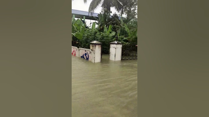 കുളമാണോ റോഡ് ആണോ എന്നു തിരിച്ചറിയാൻ പറ്റാത്ത അവസ്ഥ. മഴ ദുരന്ത കാഴ്ചകൾ 😔🙏 #malayalam #flood #safe