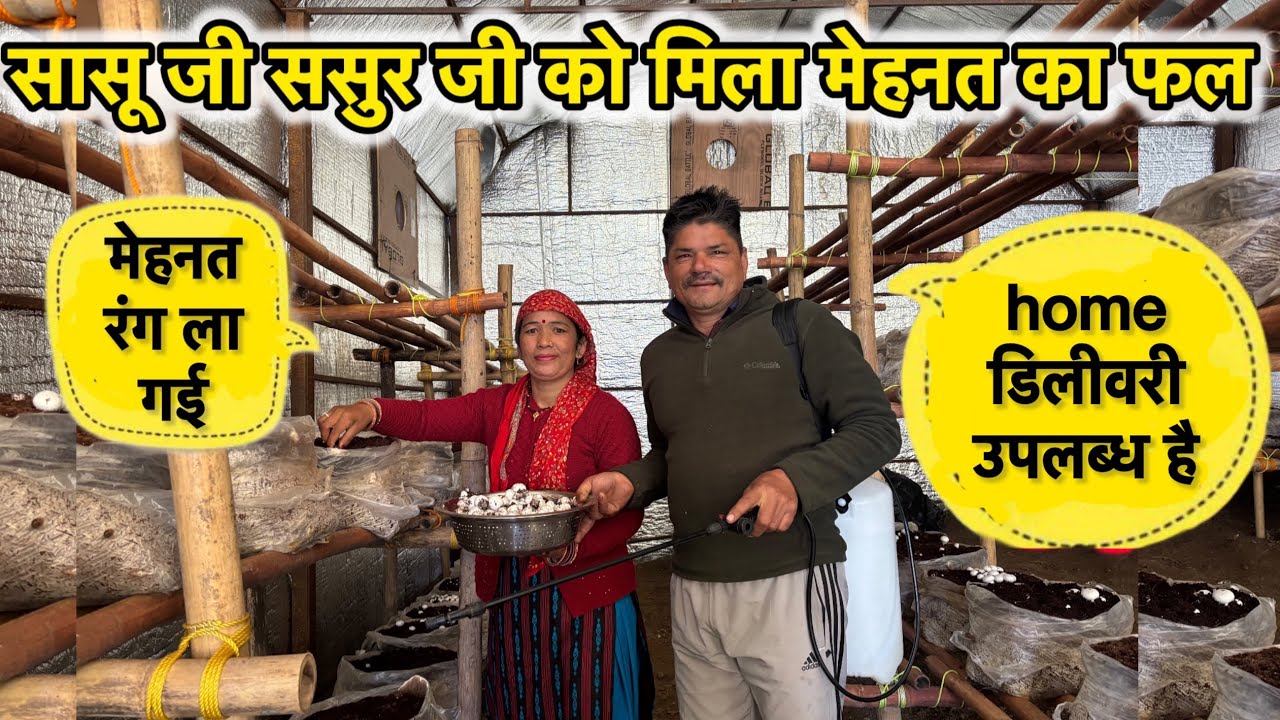 आज से नया बिजनेस शुरू  मेहनत रंग ला गई #dailyvlog #phadilifestyle 💕🩷🩷❤️❤️🙏🏻🙏🏻🌸🌸🌸