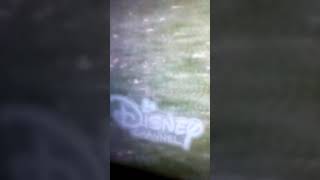 Disney Channel Screenbug