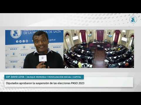 DIPUTADOS APROBARON LA SUSPENSIÓN DE LAS ELECCIONES PASO 2023