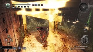 Nioh Abyss 557K Damage On Nue