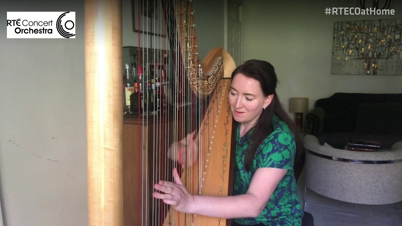 Harp solo from Lucia di Lammermoor - Geraldine O'Doherty