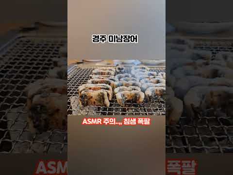 ♡잘생긴 미남장어♡ #shorts #asmr
