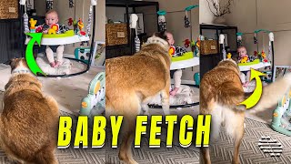 Playful Dog Attempting to Have a Baby Play Fetch With It