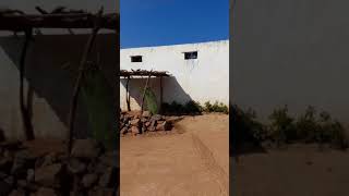 Empty Street In Gajulaguda Telangana India