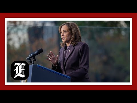 Harris Hints Her Hawaii Vacation Was Preparation For Political Comeback