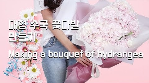 맨썸#18 수국 꽃다발 만들기 (Making a bouquet of hydrangea)