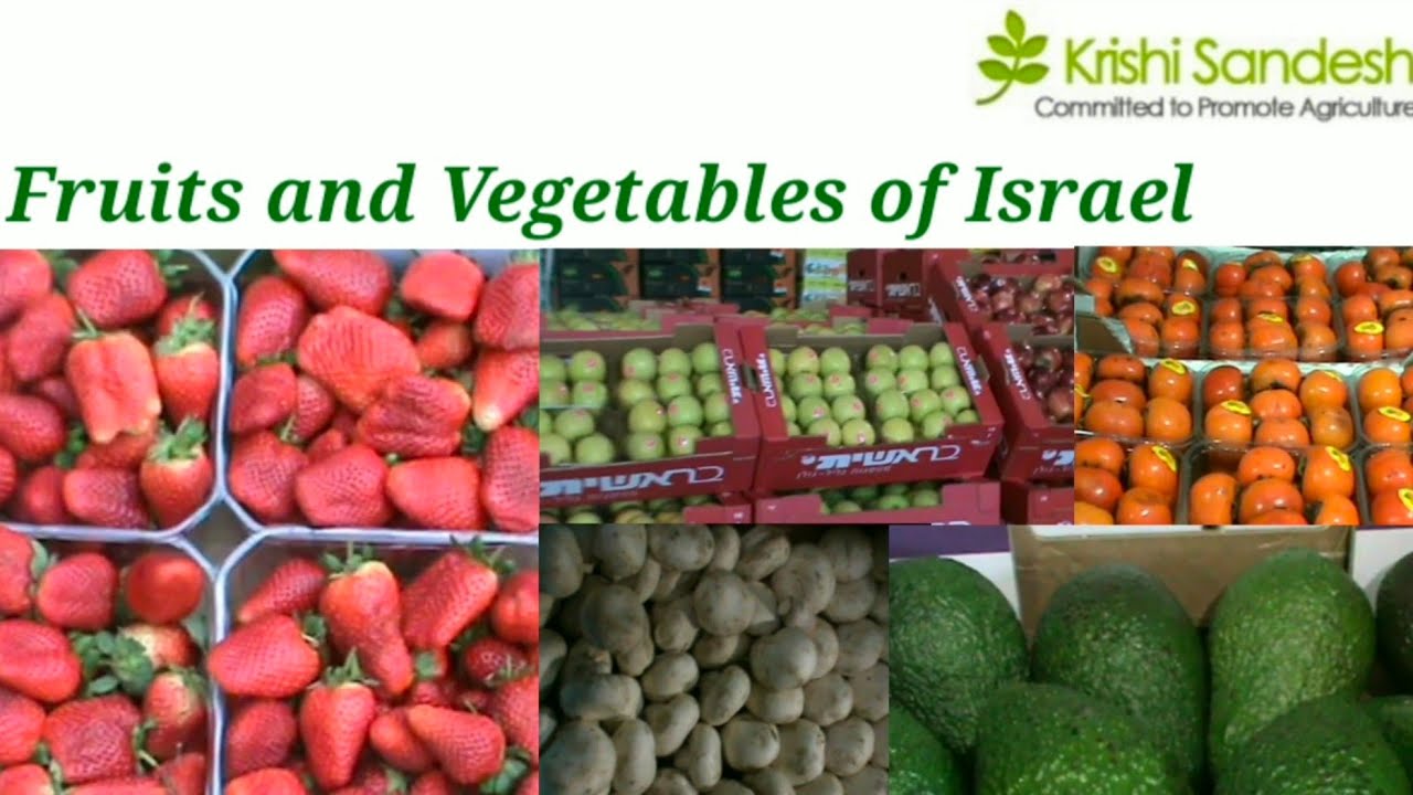 Fruits and vegetables of Israel YouTube