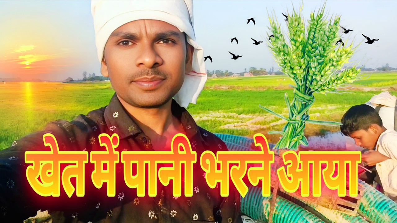 Khet mein pani bharne ka asli maza! 🚜💦 | My Village Life Vlog