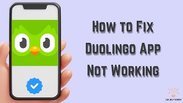 How to Fix Duolingo App Not Working : Multiple Solutions! (Apple & Android)
