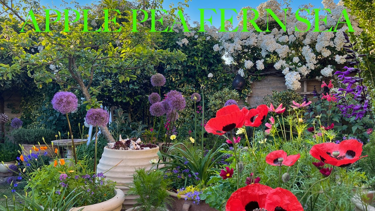 Наш небольшой садовый тур по великолепным летним цветам: красочные, стильные, ароматные, сказочны...