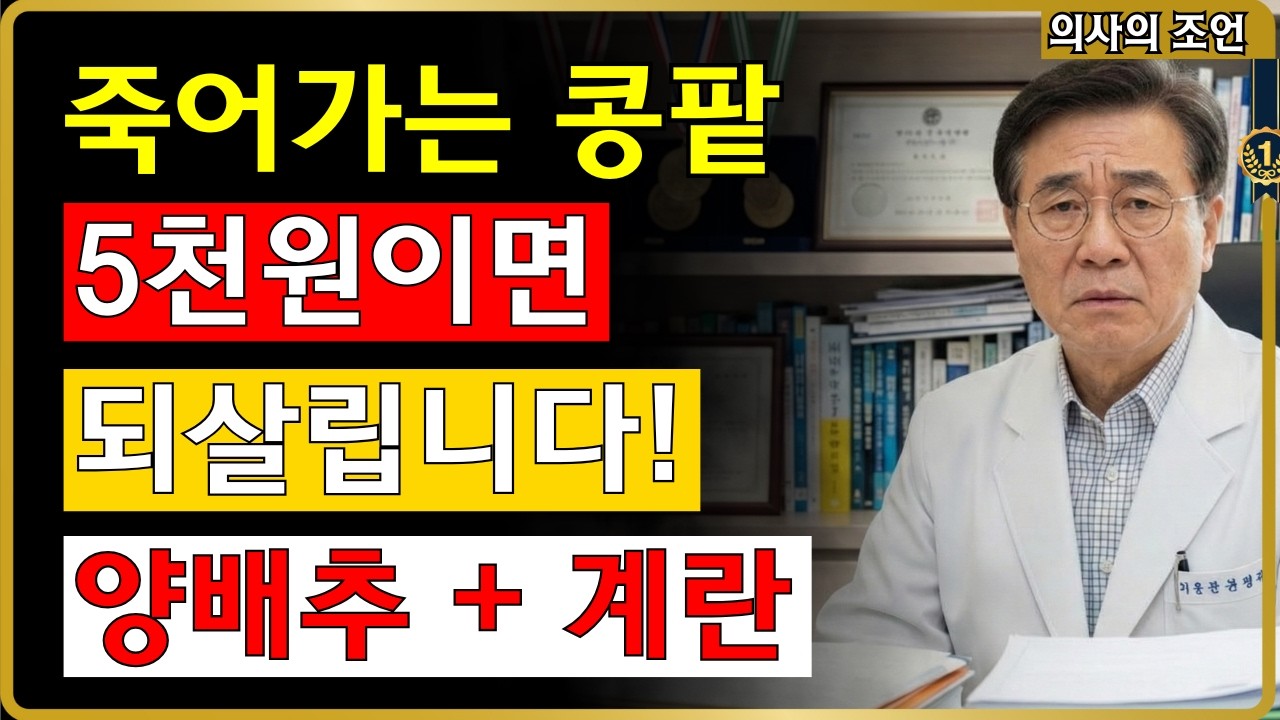 [콩팥 음식] 5천원으로 신장 되살리는 '기적의 식단' (양배추, 계란) #신장 #가려움