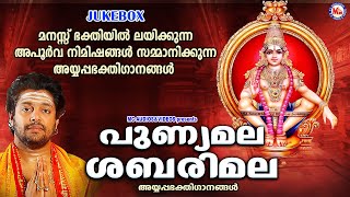 മനസ്സ് ഭക്തിയിൽ ലയിക്കുന്ന അയ്യപ്പഭക്തിഗാനങ്ങൾ | Ayyappa Devotional Songs | Hindu Devotional Songs