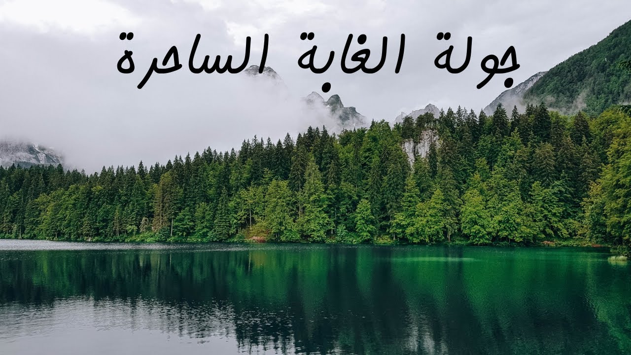 جولة في غابات العالم مع أصوات الطبيعة للاسترخاء - YouTube