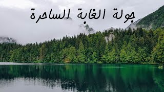 جولة في غابات العالم مع أصوات الطبيعة للاسترخاء