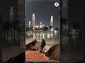 Rain at Masjid Quba | Beautiful Quran Recitation in Madinah 🌧️🤍 #youtubeshorts #masjidquba