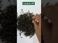 CEYLON OP  - Cey lon ORANGE PEKOE Tea