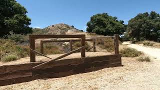 Olive View Loop Trail: Hidden Gem in Angeles National Forest | Easy Scenic Hike