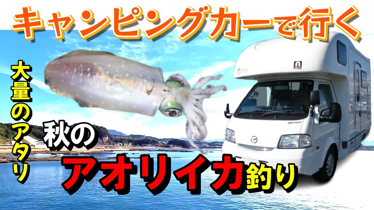 ＃５６秋のアオリイカ釣り