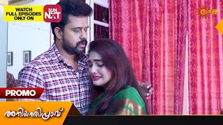 Aniyathipraavu - Promo 13 June 2023 Surya Tv Serial Malayalam Serial