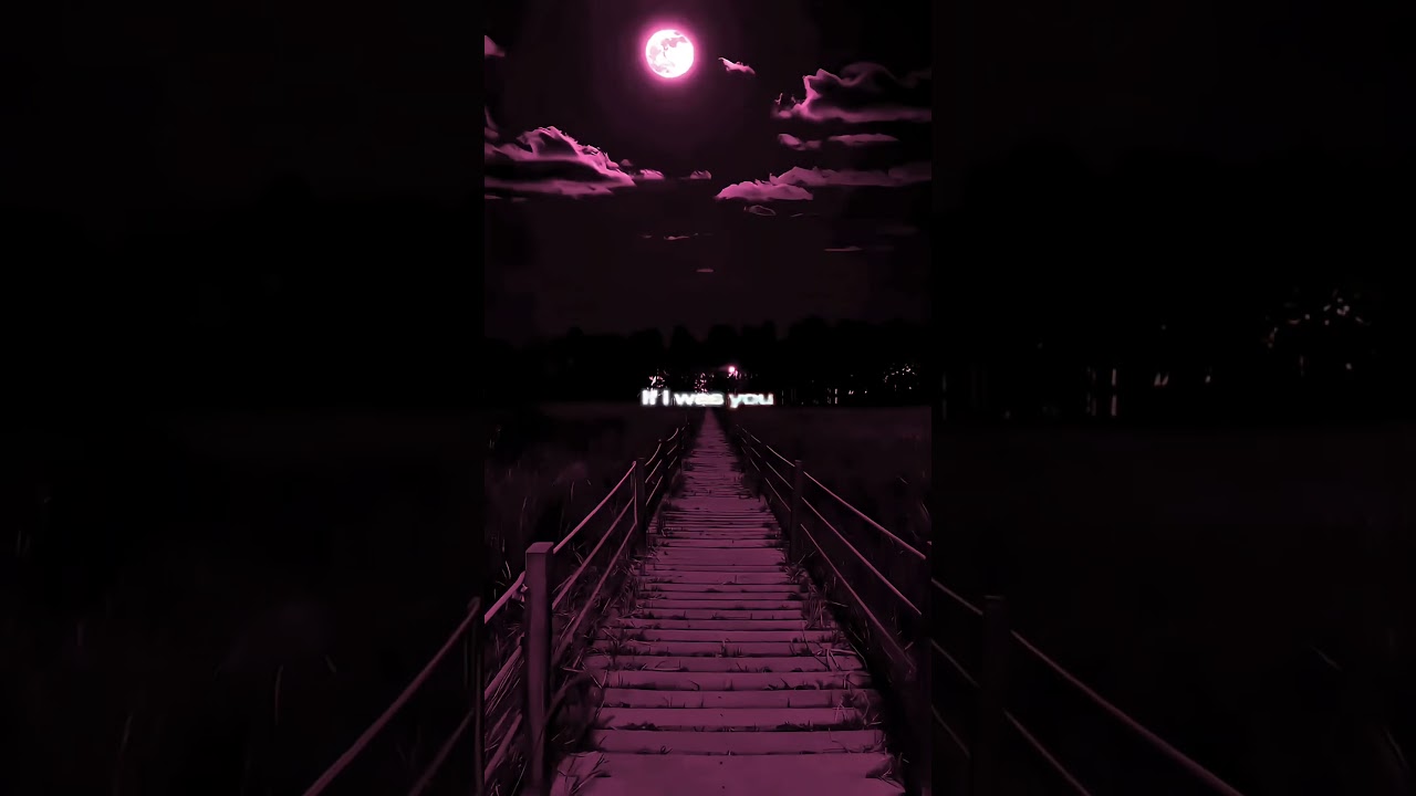 Mira The Weeknd - Timeless (Lyrics) en YouTube Mira The Weeknd - Timeless (Lyrics) en YouTube