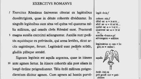 Lingua - 33.1 - Reading Tutorial