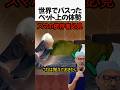世界でバズったベッド上の体勢#shorts
